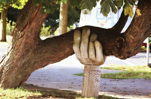brown tree